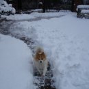 강릉우리집 이미지