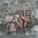 신광목장 이미지