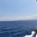 시아네민박 이미지