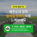 바닷가모래알 | 제주 올레길 후기 │ 화창한 하늘 아래, 오롯이 걸음과 바람에 취했던 제주 올레길