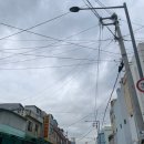 내호냉면 | 부산 최초 밀면 내돈내산 107년 전통 노포 내호냉면 솔직후기