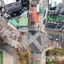 금정초교 이미지