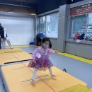 용인대 지노태권도 이미지