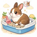 오펫 | 1. 토끼 화장실은!!