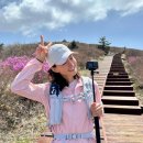 아이스M 이미지