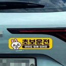 피크 - 강남구 도산대로 152 | 피크