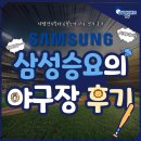 시범경기부터 6월초까지의 승률 100% 삼성승요가 말아주는 야구 직관 경기 후기