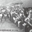 호랑이 담배피던시절 한국마라톤의 에피소드 이미지