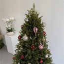 동산동-24 이미지