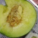 통통과일 - 음성군 오태로 126 | 통통과일