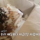 대길한복 이미지