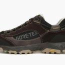 드림 무브 이미지