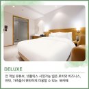 데이지호텔