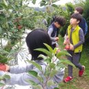 풍성한농장 이미지