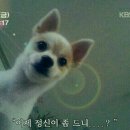 낼름
