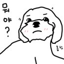 수제삼계탕 이미지