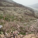 구부림농장 이미지