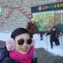 원주굽이길 원4코스 명봉산진달래길 | 원주굽이길 원4코스 명봉산진달래길
