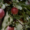 Dream Time(드림 타임) 이미지