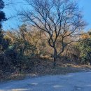 서광리-23 이미지