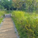 한국폴리텍V대학목포캠퍼스 이미지