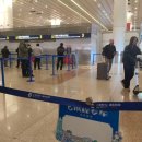 상하이 첫날부터 편했던 이유, 트립닷컴 공항 픽업 (센딩)솔직 후기