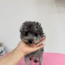 타워미용타운