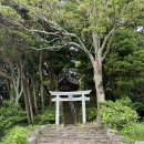 쪽섬목장 | 후쿠오카 2박3일 아이랑 여행 코스 오시마 섬 후기