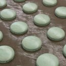 울산동구알비제과제빵바리스타학원 | 울산 동구 알비 제과 제빵 바리스타 학원 국민내일배움카드 제과 디저트 심화반 후기 2 🍦