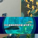 청주 근교 주말에 가볼만한 곳 괴산 충북아쿠아리움 솔직후기