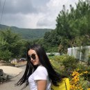 사랑해체험마을 이미지