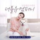 더블유동물병원 이미지