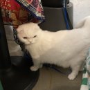 바라다 동물병원 이미지