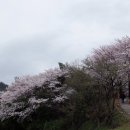 노이타김해