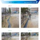 목포옥암초등학교 이미지