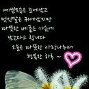 산우님 7월19일 세째주 일요일 북한산 둘레길 갑니다..^^* 이미지