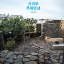 까사인 제주 | 산방산 근처 감성 숙소, 제주 서귀포 독채펜션 까사호제 후기