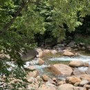 산청스마일펜션 | 산청 우니메이카 8번, 계곡캠핑