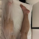 스완드 | 강서구 산후마사지 스완드 리얼후기-비야즈