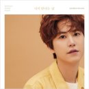 규현 카카오 검색결과