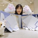 한솔벽지바닥재