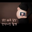 임신 33주 일상 (상암하늘공원 나들이, 만삭사진 홍대 사랑비, 남편 자가격리)