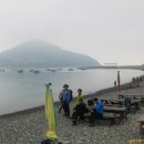 완도 예송리 상록수림 이미지