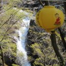 즐거운 노래방 이미지