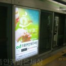 으뜸밝은세상안경 이미지