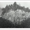 산수화회관