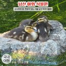 팔도화원 이미지