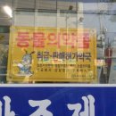 정류장약국 이미지
