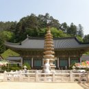 삼풍목장 이미지