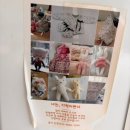 전북대병원 NICU 폐쇄, 삼성서울병원으로 고위험산모 전원한 후기(방법, 차이점)